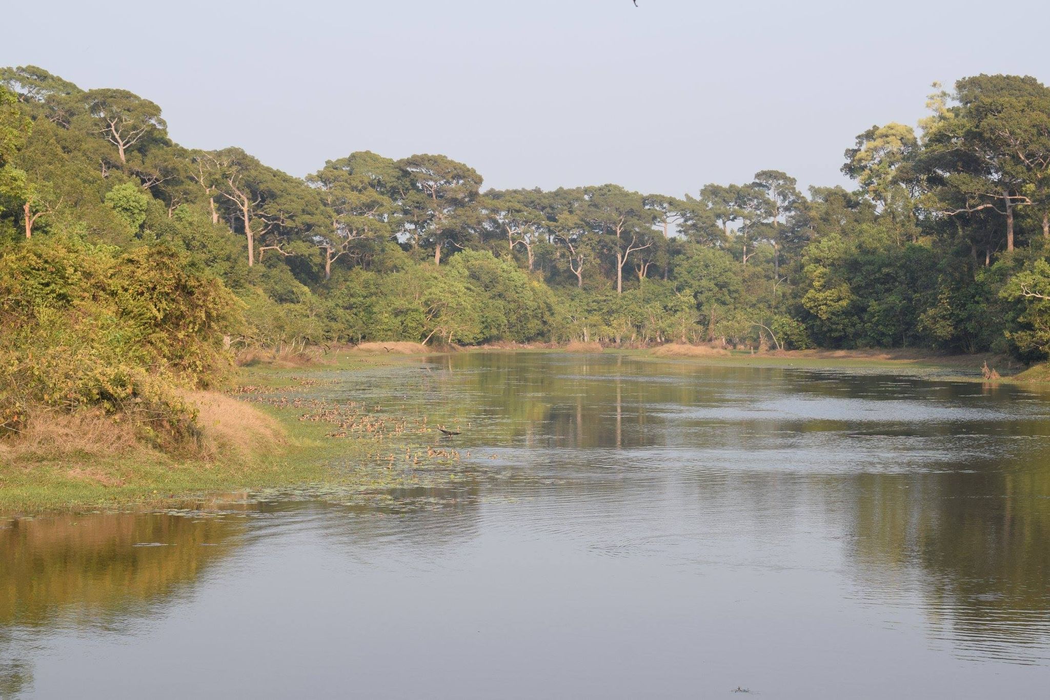 ব্যানার