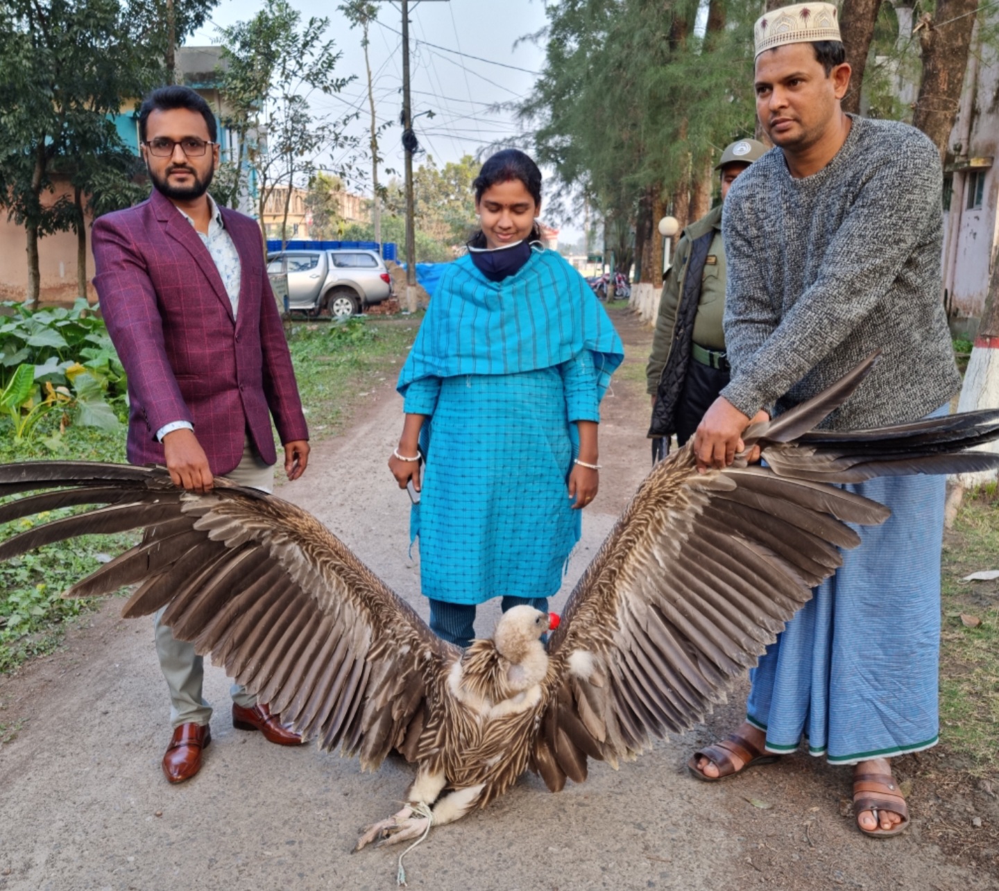 বন্যপ্রাণী অবমুক্ত করণ