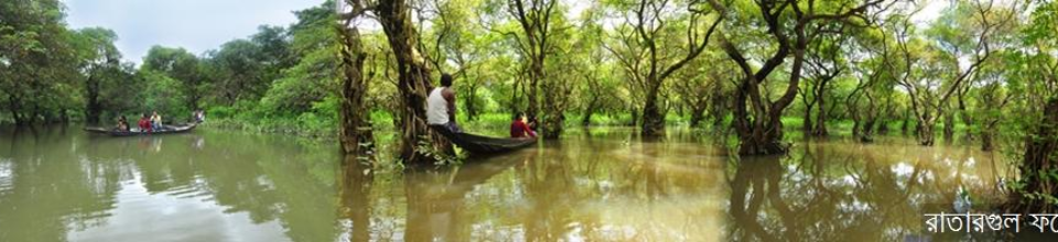 রাতারগুল