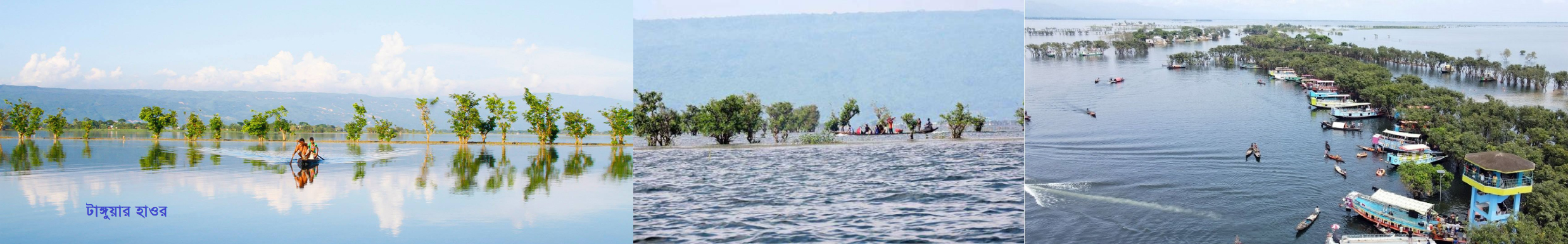 টাঙ্গুয়ার হাওর