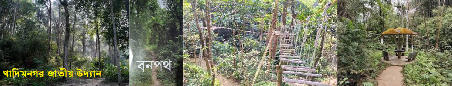 খাদিমনগর জাতীয় উদ্যান