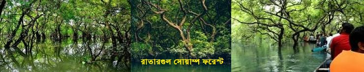 রাতারগুল-২