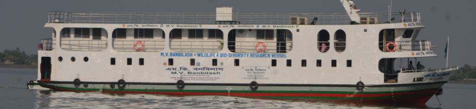 সুন্দরবন ৩