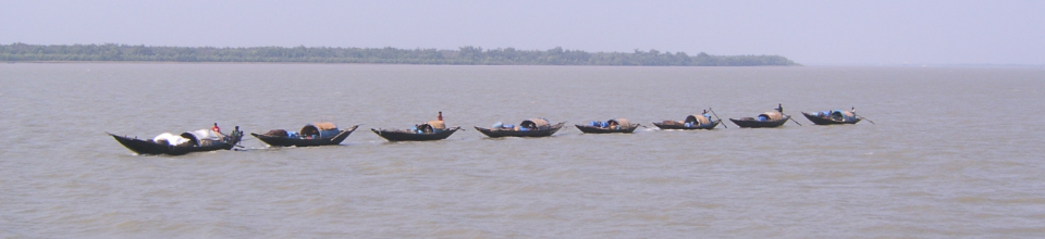 সুন্দরবন ৫