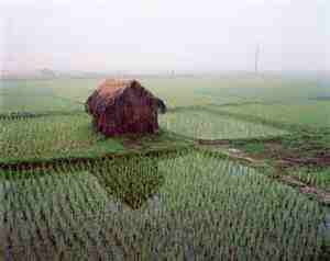 ভূমি অফিস