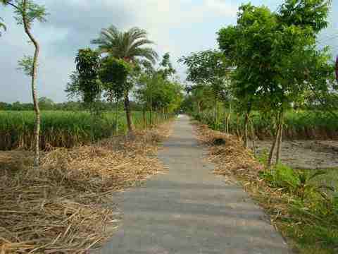 প্রকৌশল ও উন্নয়ন