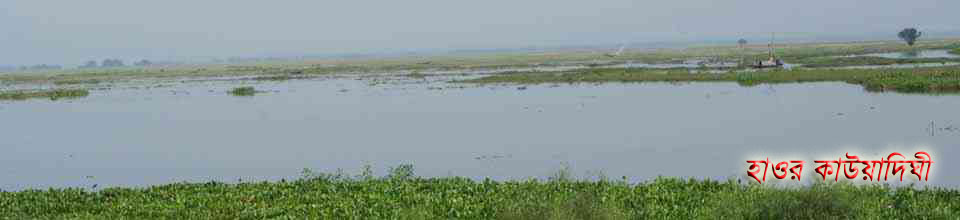 হাওর কাউয়াদিঘী