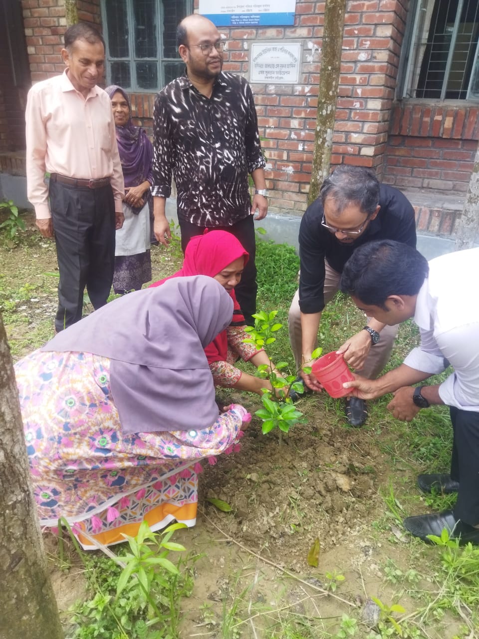 কাঞ্চনাবাদ ইউনিয়ন স্বাস্থ্য ও পরিবার কল্যাণ কেন্দ্রে বৃক্ষরোপন