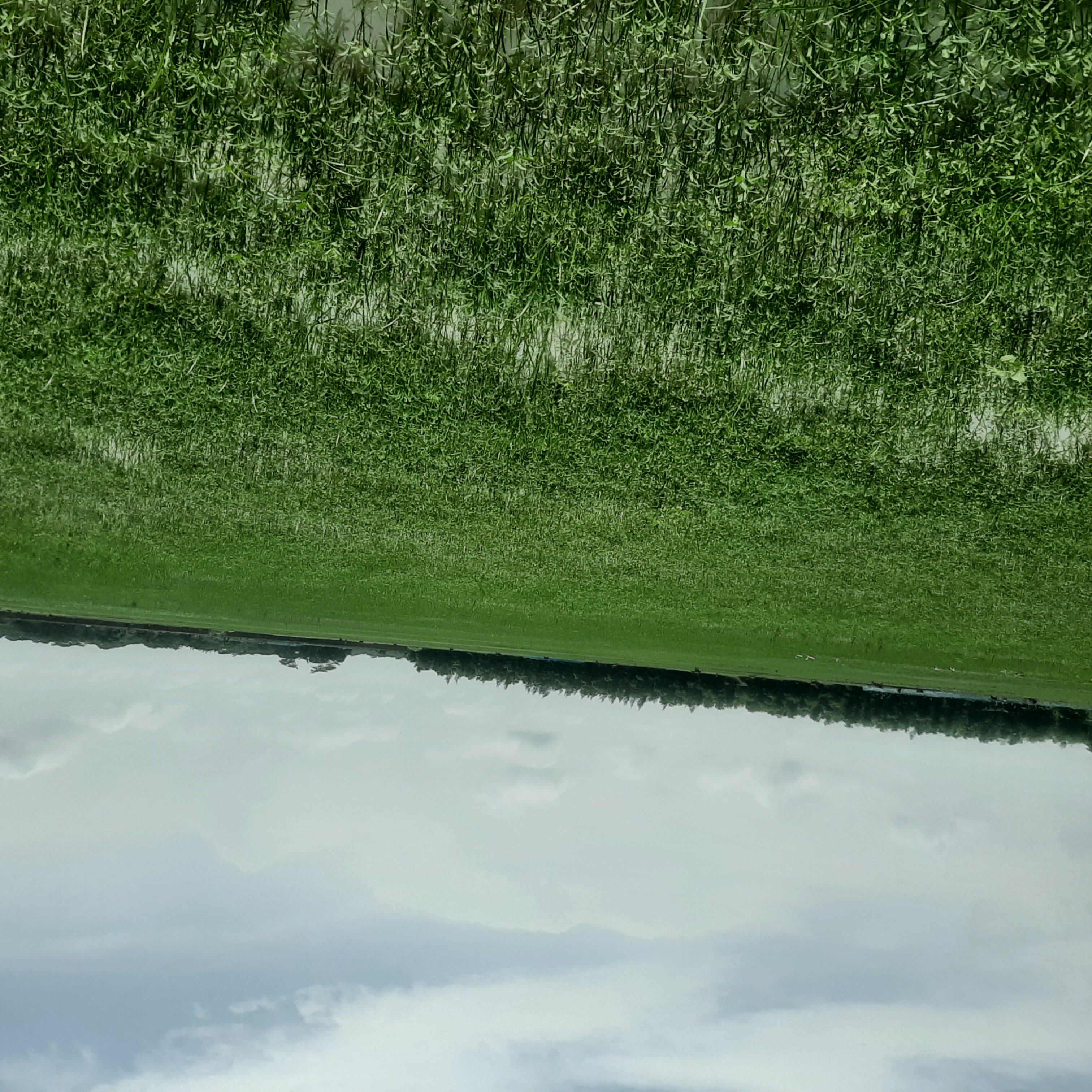 কলাপাড়া