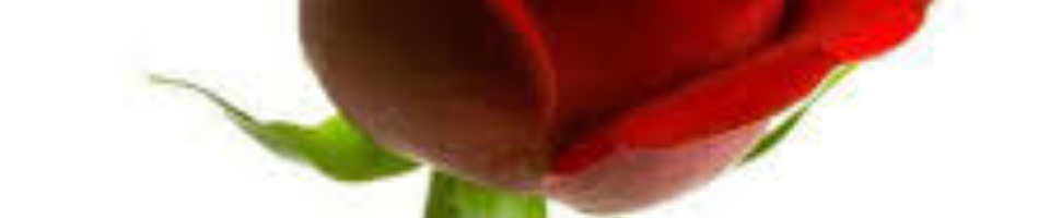 উপজেলা পরিবার পরিকল্পনা কার্যালয়, কাউনিয়া