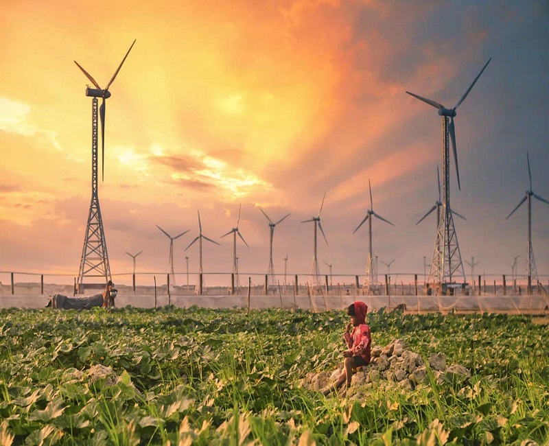 প্রাকৃতিক দৃশ্য