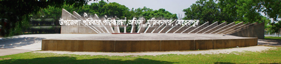 উপজেলা পরিবার পরিকল্পনা অফিস