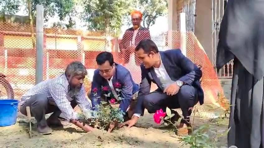 পরিচ্ছন্নতা ও বৃক্ষরোপন সপ্তাহ ২০২৫ এর ছবি