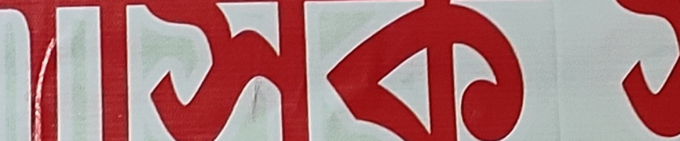 উপজেলা মাসিক সমন্বয় সভা