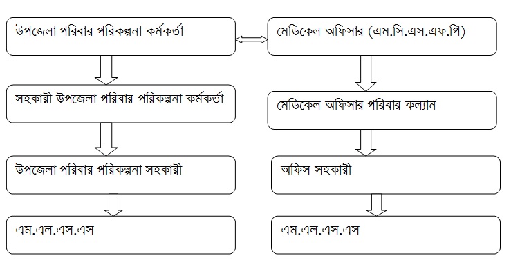 জনসংখ্যা দিবস উদযাপন
