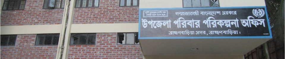 ডিজিটাল বাংলাদেশ