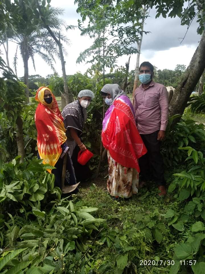 মুজিব্বর্ষ উপলক্ষ্যে গাছ রোপন