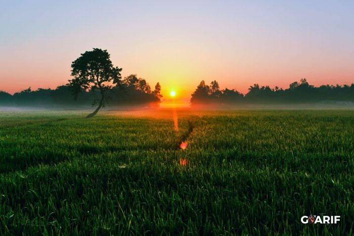 বাংলাদেশ