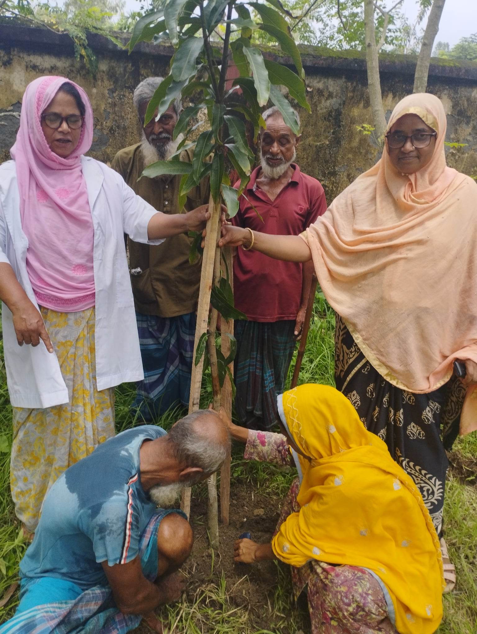 বৃক্ষরোপন