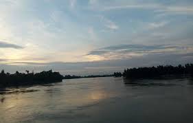 ব্যানার