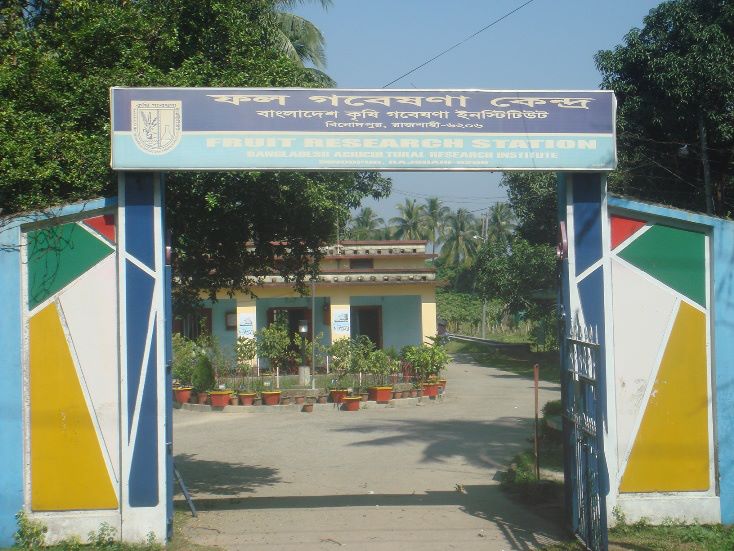 ফল গবেষণা কেন্দ্র, বিএআরআই, বিনোদপুর, রাজশাহী