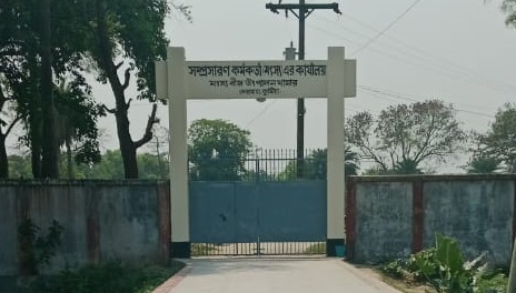 মৎস্য বীজ উৎপাদন খামার