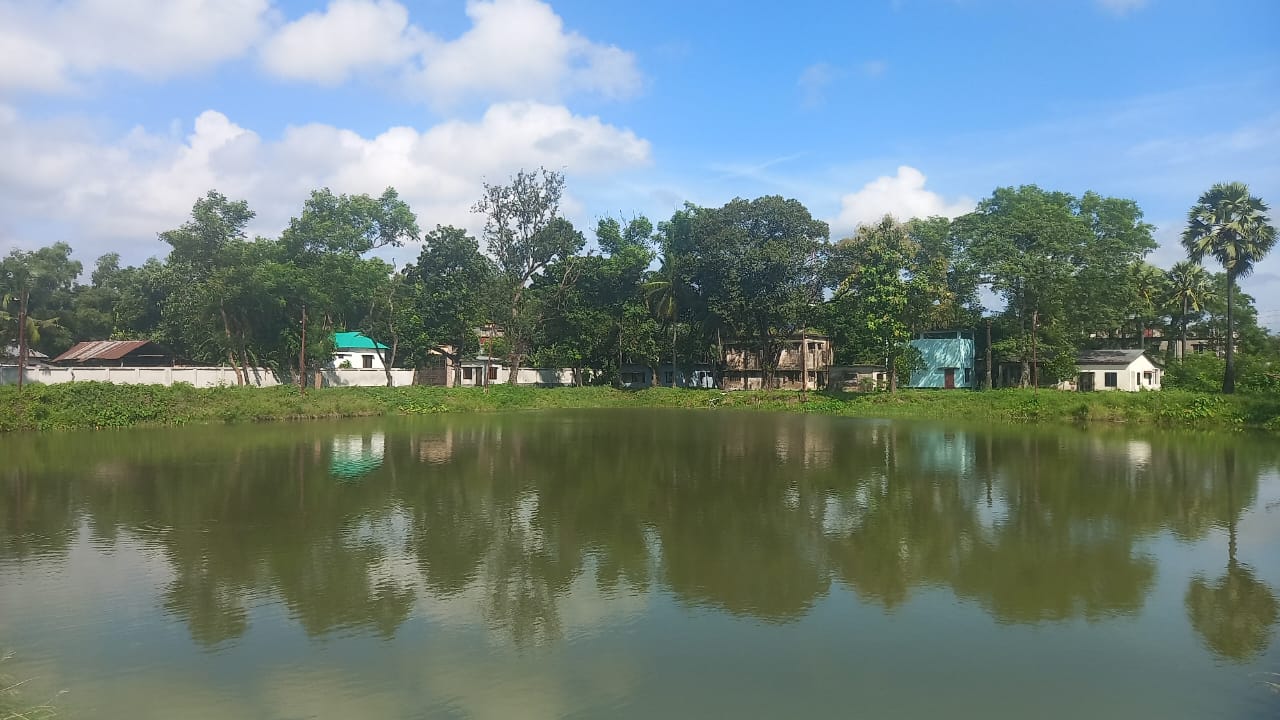 মৎস্য বীজ উৎপাদন খামার, বুড়িচং, কুমিল্লা