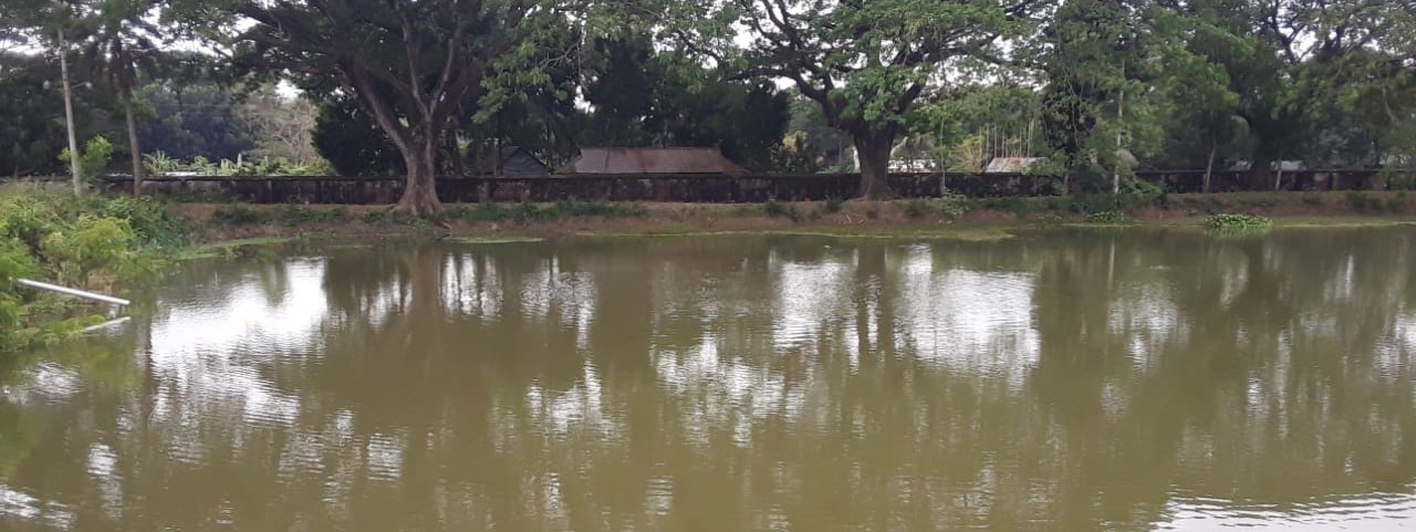 পুকুরের দৃশ্য