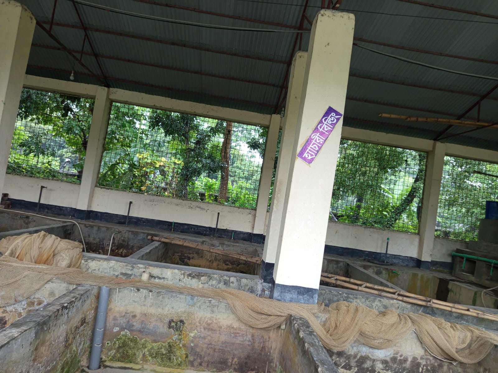 হ্যাচারী বিল্ডিং