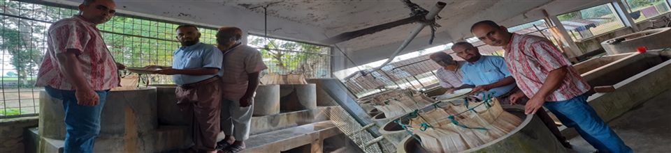 রেণু উৎপাদন