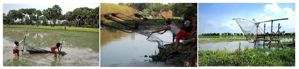 মাছ ধরার যন্ত্রপাতি