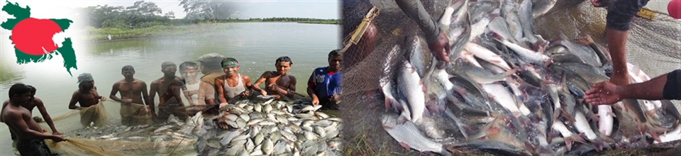 মৎস্য বীজ উৎপাদন খামার ডুমুরিয়া খুলনা