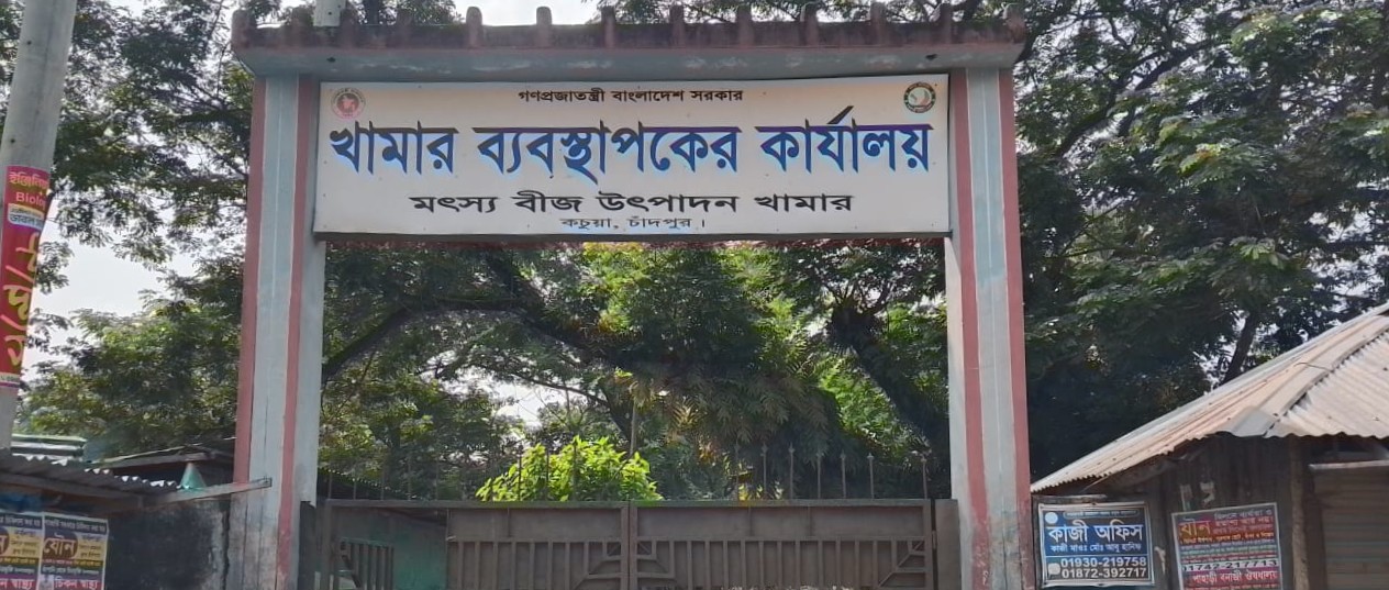 ব্যানার