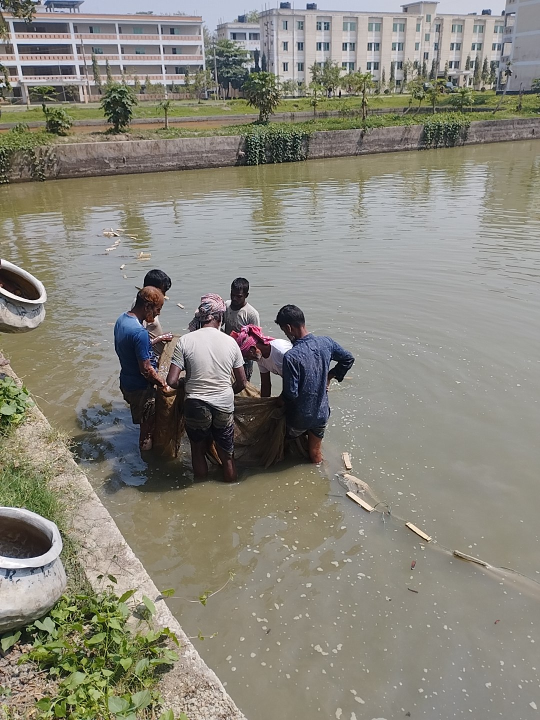 জালটানা