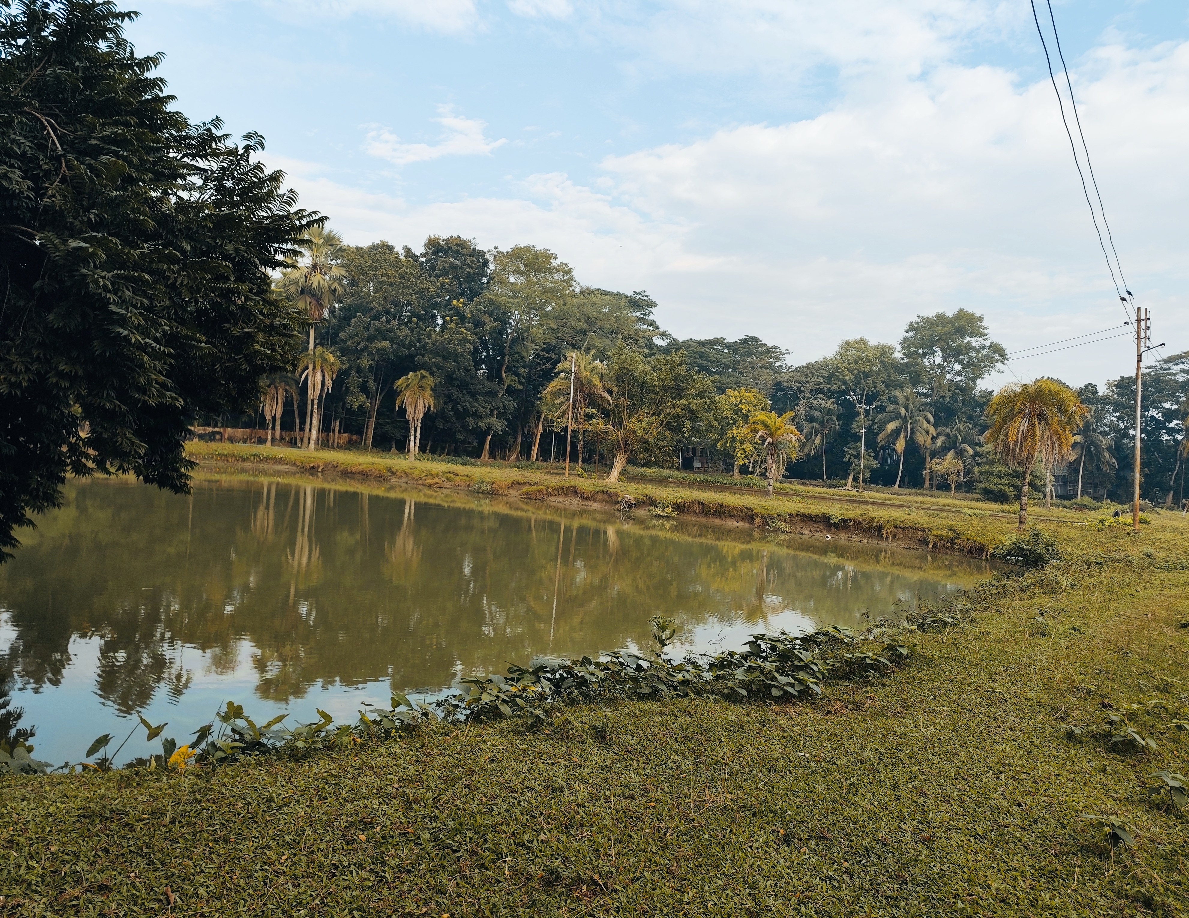 মজুদ পুকুর