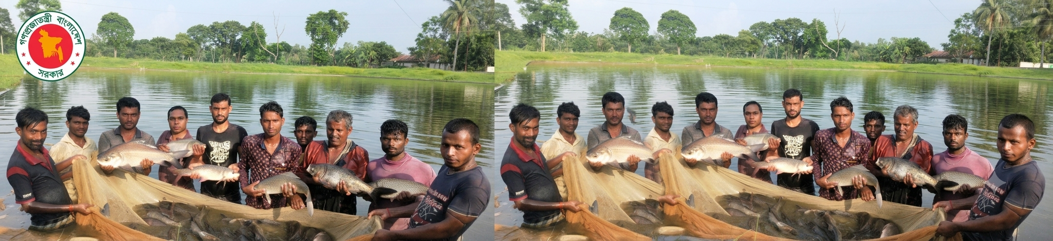 মাছ