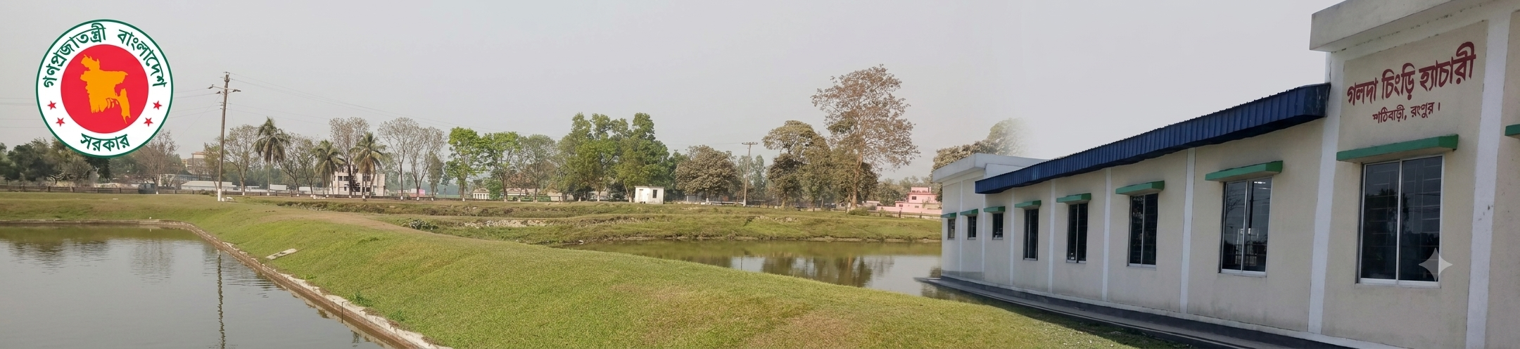 ব্যানার