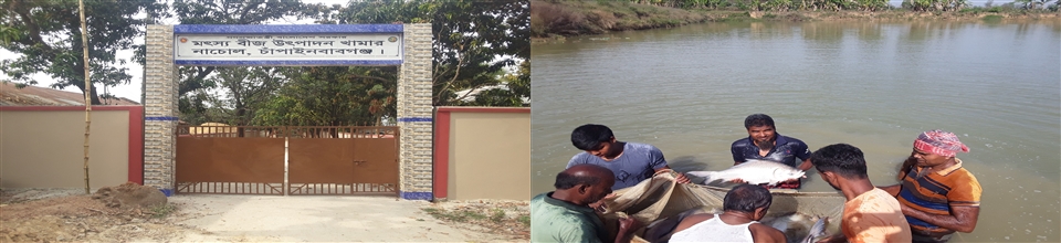 মৎস্য বীজ উৎপাদন খামার,নাচোল,চাঁপাইনবাবগঞ্জ-2