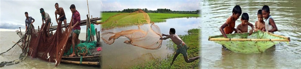 মাছ ধরার দৃশ্য