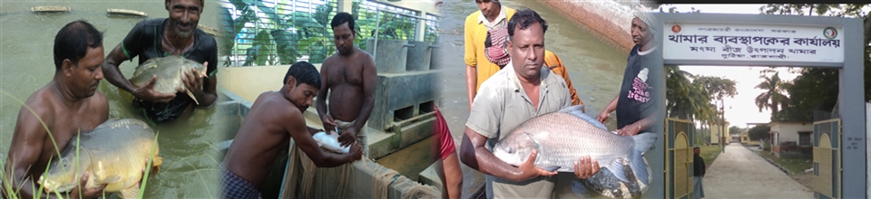 মৎস্য বীজ উৎপাদন খামার, পুঠিয়া, রাজশাহী