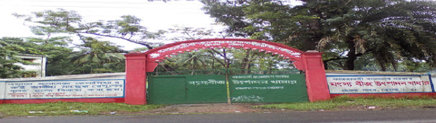 মৎস্য বীজ উৎপাদন খামার, ভোলা সদর, ভোলা