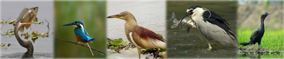 মৎস্য বীজ উৎপাদন খামার, ভোলা সদর, ভোলা