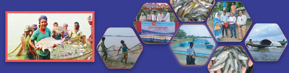 ব্যানার ২