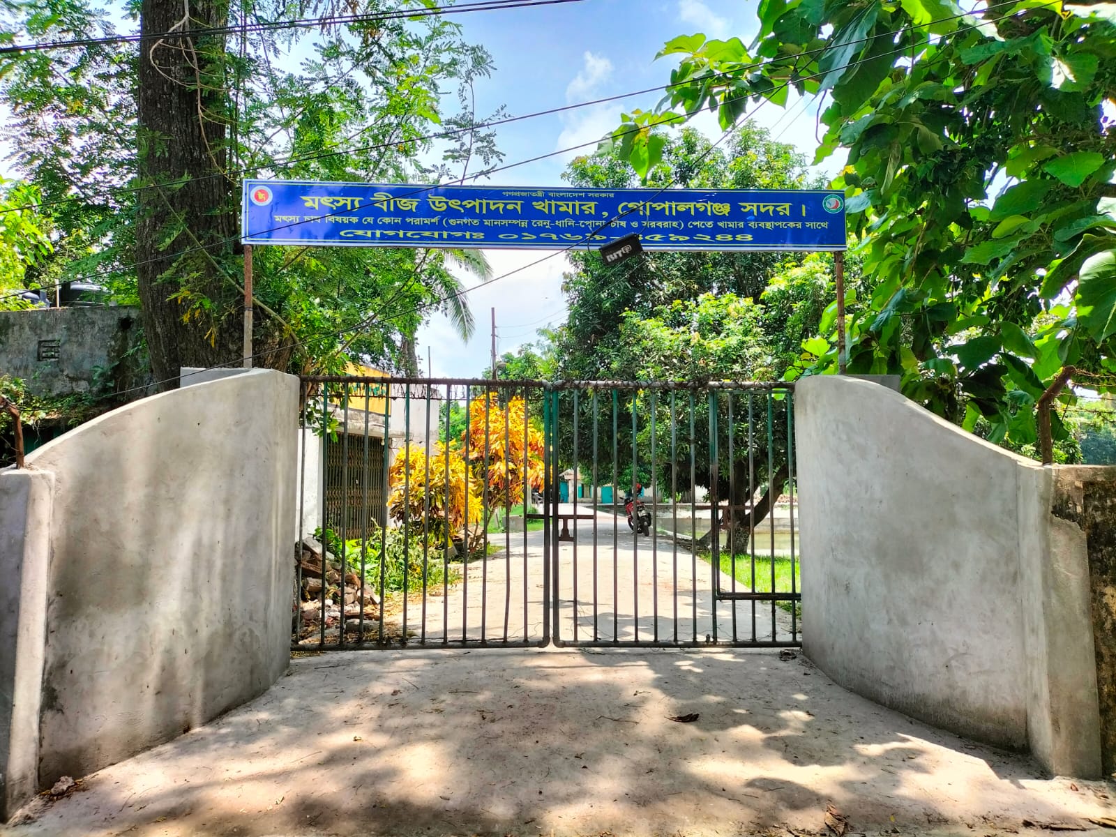 ব্যানার