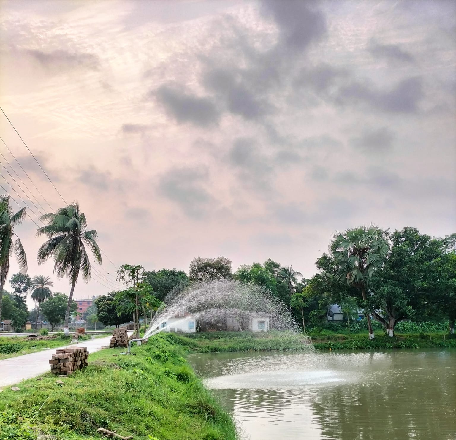 ওয়েব পোর্টাল ব্যানার