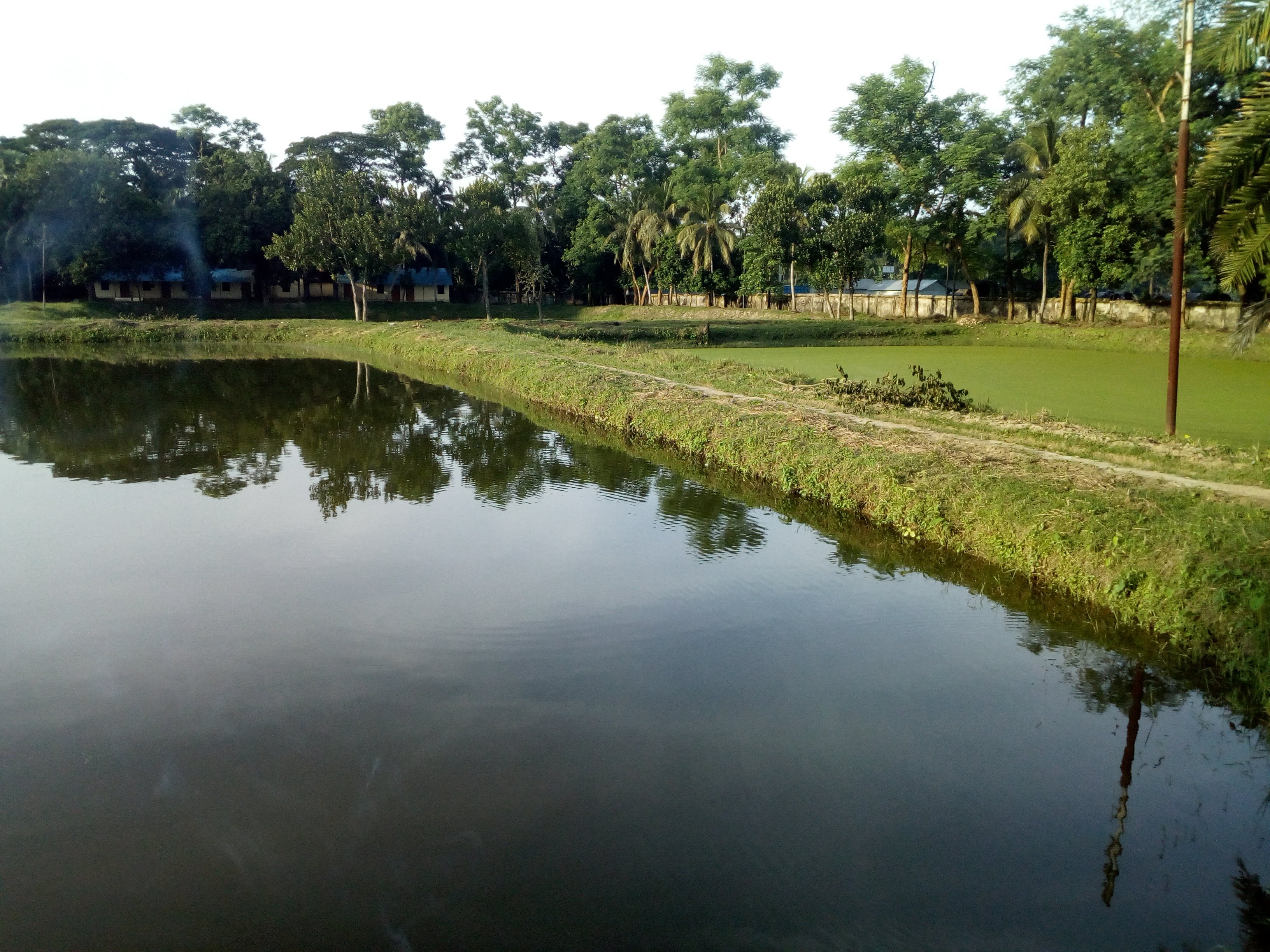 ব্যানার