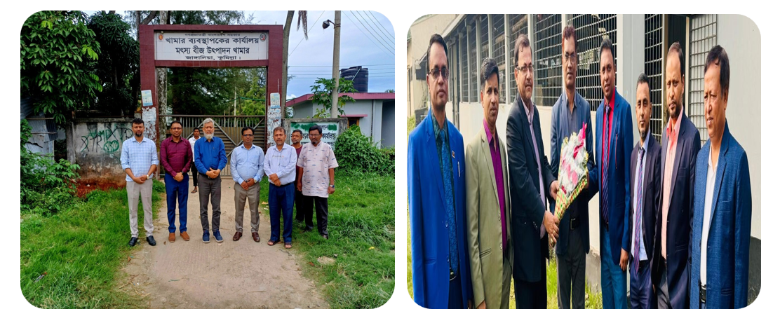 ব্যানার