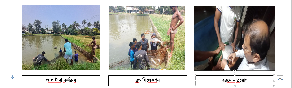 খামারের বিভিন্ন কার্যক্রম