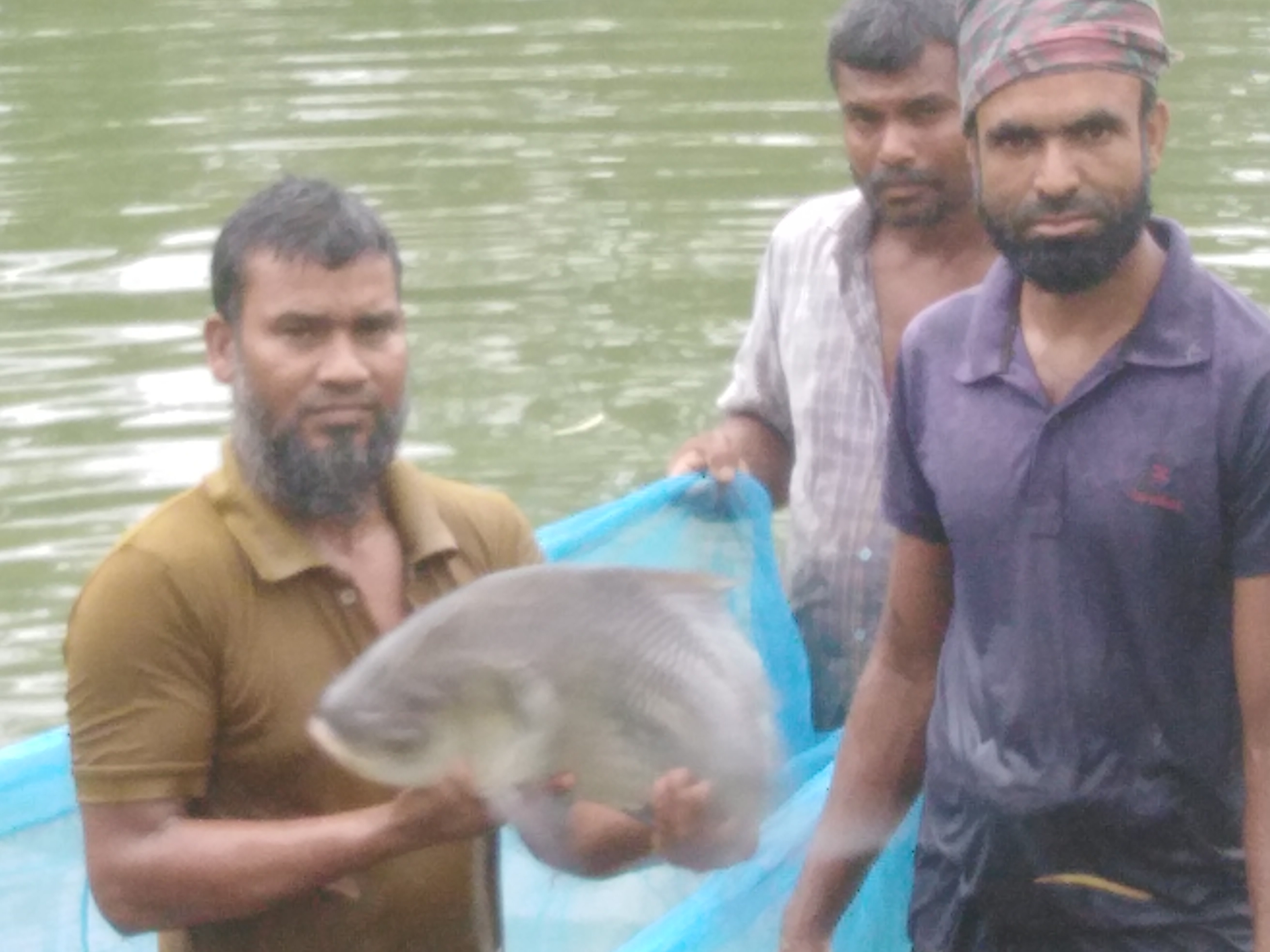 মাছ