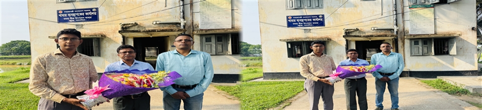 ডিরেক্টর